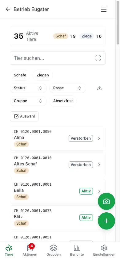 Herdy Herdenverwaltung auf dem Smartphone